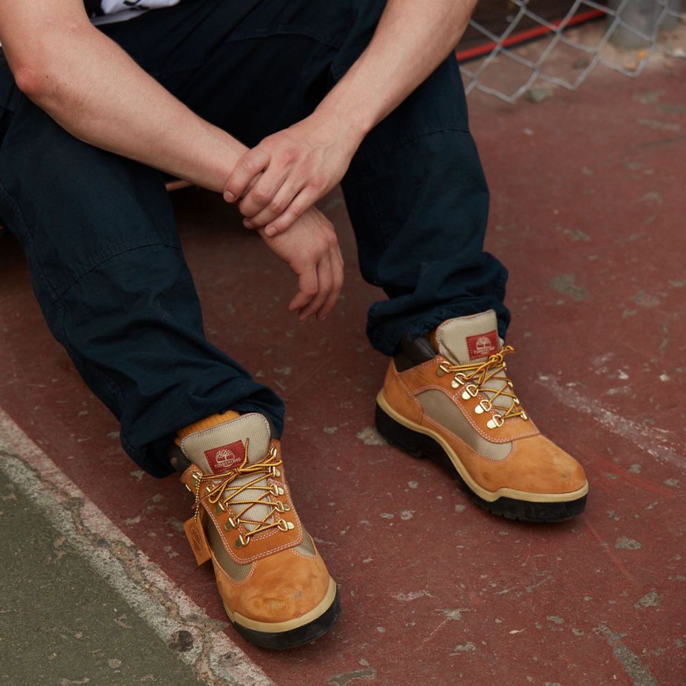 Timberland Mens Sneakers Waterproof Field Boots - Brown/Black - India RE0582419